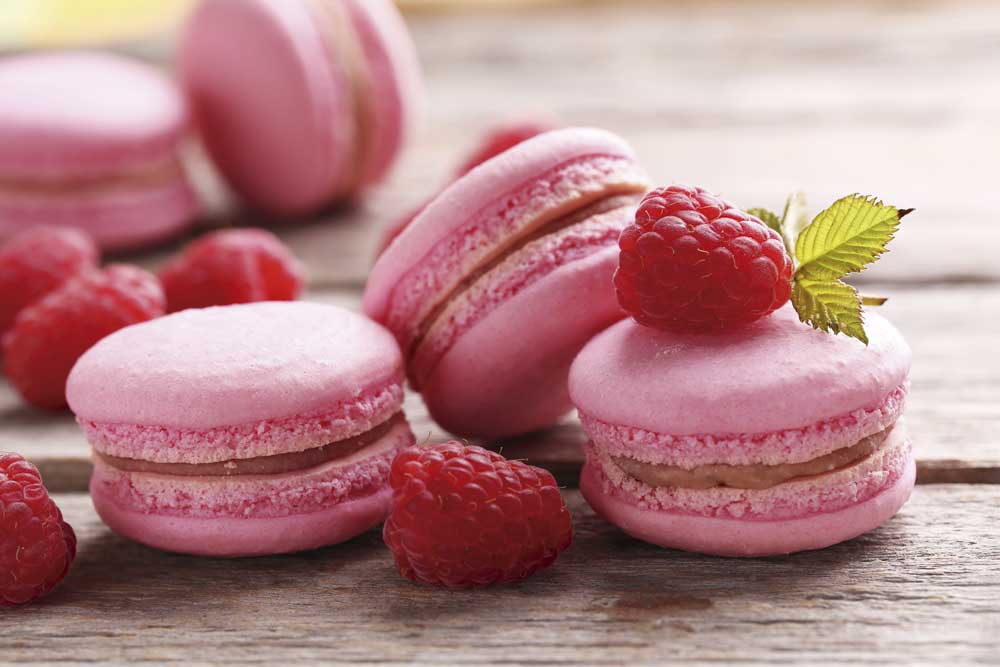 arquipelago-cor-em-harmonia_23.11-12