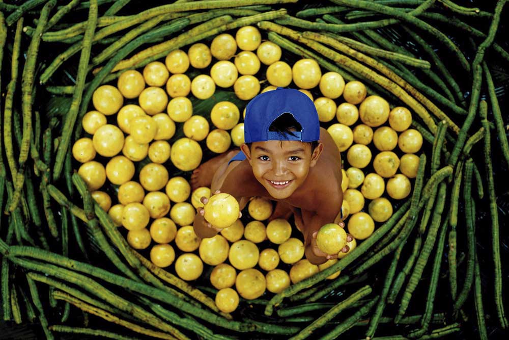 arquipelago-cor-em-harmonia_23.11-5