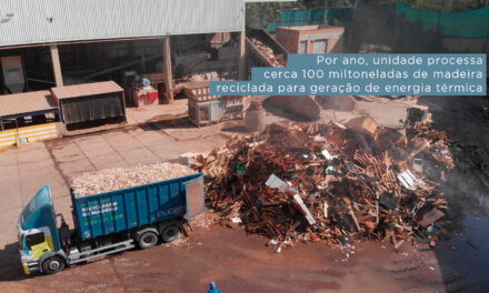 Eucatex tem maior central de reciclagem de madeira em escala industrial da América Latina