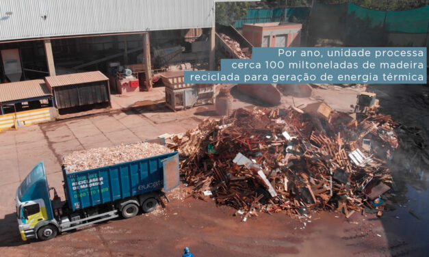 Eucatex tem maior central de reciclagem de madeira em escala industrial da América Latina