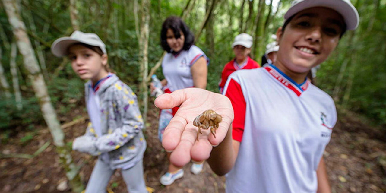 Dia de Combate à Poluição: como a Eucatex atua para realizar e disseminar as boas práticas pelo meio ambiente.