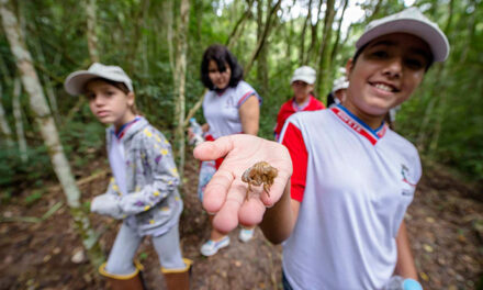 Dia de Combate à Poluição: como a Eucatex atua para realizar e disseminar as boas práticas pelo meio ambiente.