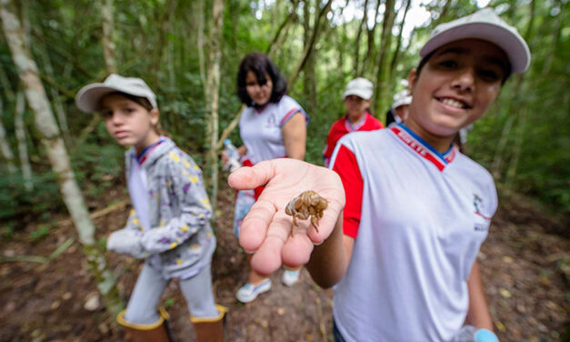 Dia de Combate à Poluição: como a Eucatex atua para realizar e disseminar as boas práticas pelo meio ambiente.