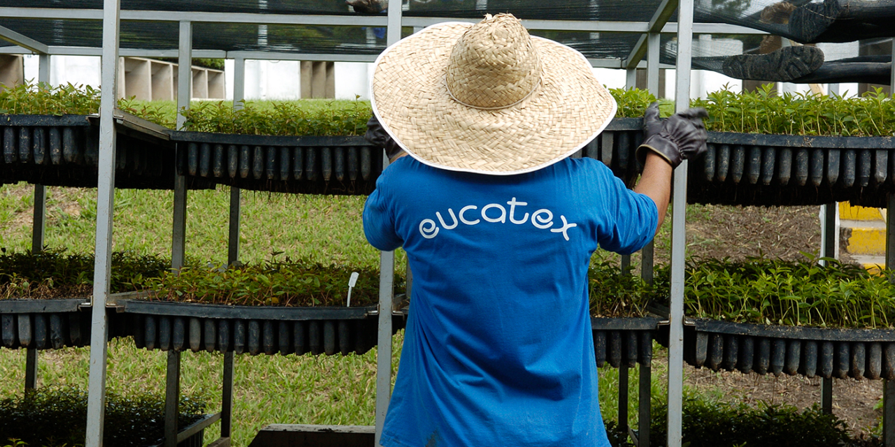 Eucatex & Sustentabilidade: conheça melhor as nossas ações