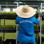 Eucatex & Sustentabilidade: conheça melhor as nossas ações