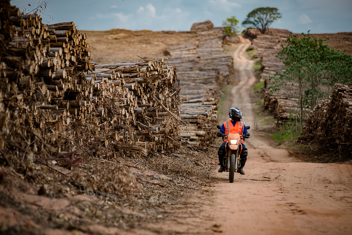 Colaborador em ronda para a proteção dos ativos florestais