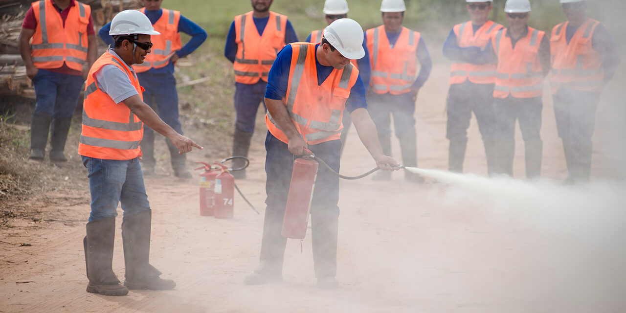 Incêndios Florestais: uma centelha pode destruir além da floresta