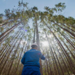 Retrospectiva Eucatex 2025: inovação, sustentabilidade e novidades imperdíveis